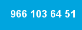 966 103 64 51
